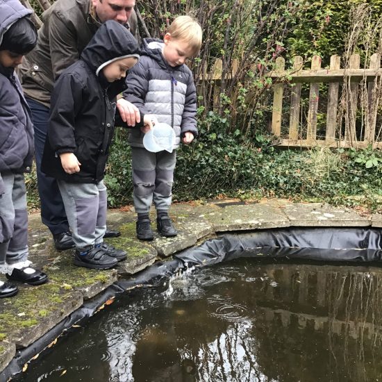 Children and a teacher looking into the pond