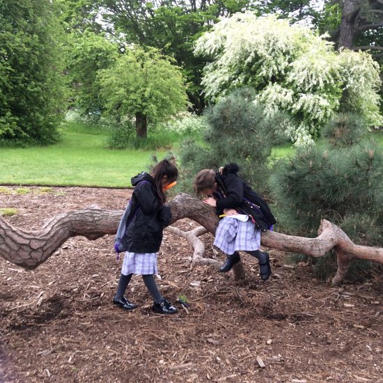 children inspecting a branch