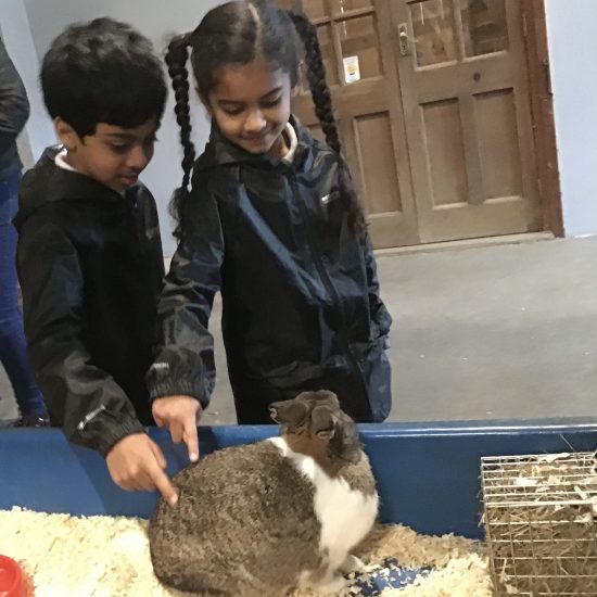 children petting a rabbit