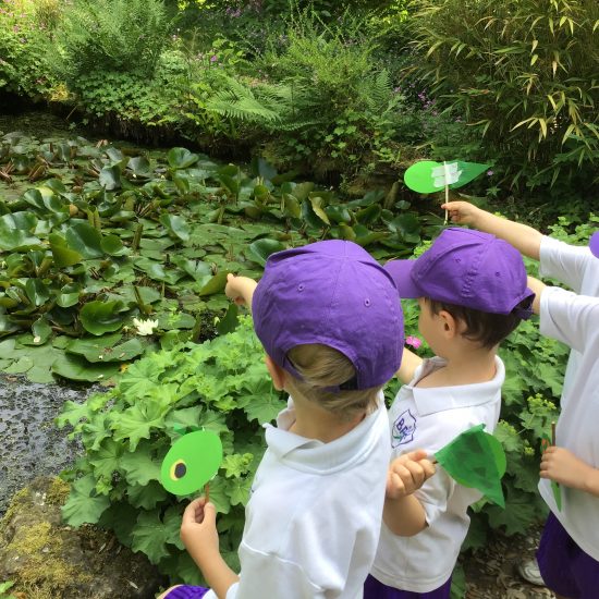 Children taking their leaf, tadpole and fish crafts to the pond