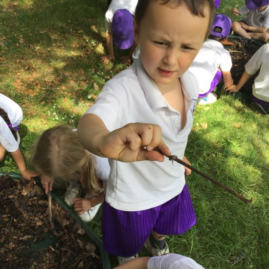 A child showing an insect they found on a stick