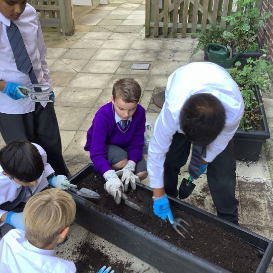 Children using trowels to plant acorns in the plant pot