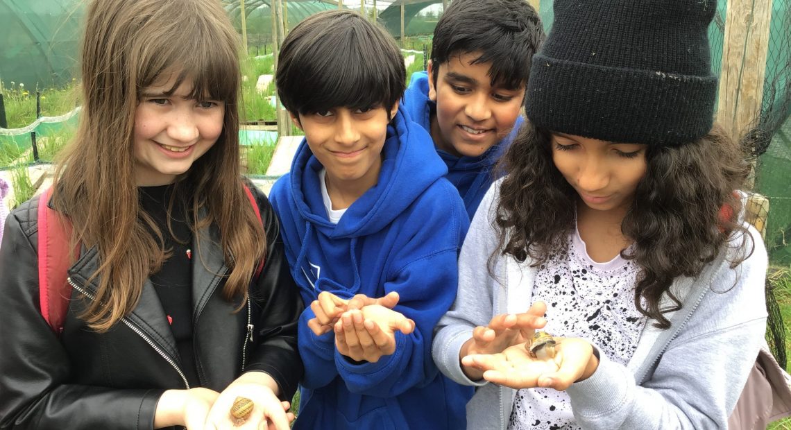 Students looking at snails