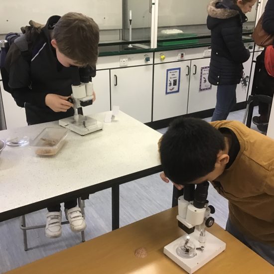 children using microscopes